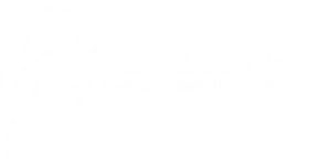 CICAIMIX